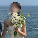 디스베리데이 이미지