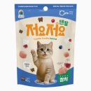 트리덴탈 이미지