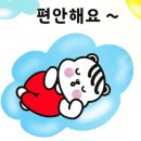 스타광택덴트 이미지