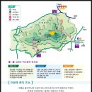 2008 강화도 진달래 축제(고려산) 안내 이미지