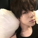 한식 중식 양식 중에 어떤 카테고리를 좋아하나요?
