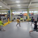 라이온즈 부부 태권도장 이미지