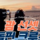 카페돌핀 이미지