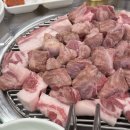 스테이 리네 이미지