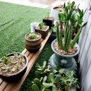 원스크린골프 이미지