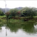 음성경보 이미지