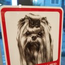 강남펫스타일 이미지