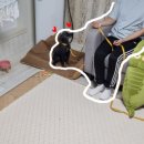 고쳐줄개 이미지