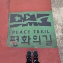 평화누리자전거길 | 자전거 타기🚲 | 평화누리 자전거길(고양 능곡&gt;대화역)