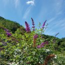 자미원농장 이미지