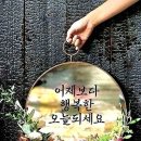 부활장의사 이미지