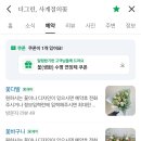 더그린;사계절의꽃