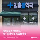 일층약국 이미지