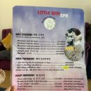 윈아로마오일