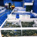 용궁탕 | (청주) 오창 맛집 물회 정식 정치망 내돈내산 후기