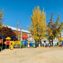 세정어린이집 이미지