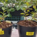 호현목장 이미지