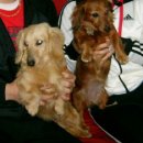 간석1동-24 이미지