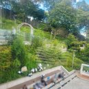 소답동138 이미지