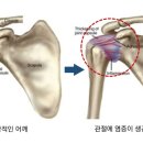 신강한의원 이미지