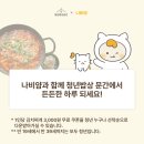 청년찌개제주