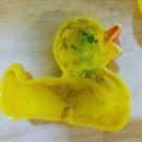 배시화국어 이미지