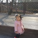 하온 Daum카페