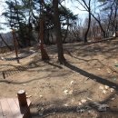 마곡아이숲어린이집 이미지