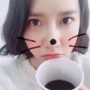 레드민박 이미지