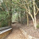 달마약수터 이미지