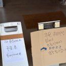 국화 | 부안 신상카페 파란곳간 수레국화 개화상태 후기