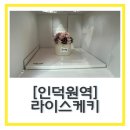 라이스케키 | 안양떡케이크 맛집 “라이스케키” 반전매력 초미니케이크 제작후기