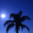 태릉시장 이미지