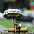 닭방 Daum카페