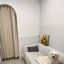 파츠매니저 | [진주 네일샵 추천] 초전동 "네일로브" / 미감 미친(p) 이달의아트 후기💅