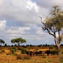 에코리조트 이미지