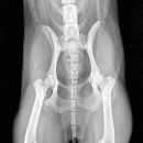 삼화 우수한 동물병원 이미지