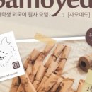 기획/운영했던 커뮤니티 목록