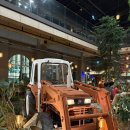 만주농장 | 제주 감성 가득한 제주당 카페 방문기｜감귤 농장 콘셉트가 예쁜 베이커리 카페