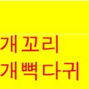 바른꼴개발