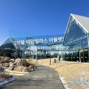 서당개 삼식이 애견샵 | 경기도 아이와 가볼만한곳 : 타임빌라스 의왕 롯데프리미엄 아울렛 주차 등