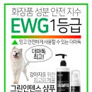 샴푸하는강아지 이미지