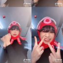문어의꿈 이미지