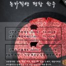[강원 숙소] 평창 글램핑 추천 '더클라우드 글램핑' :: C1 내돈내산 후기