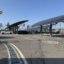 그린농장 | 서울 근교 실내 아이랑가볼만한곳 안산 대부도 딸기농장 딸기체험농장 <그린티플> 찐 내돈내산 체험 후기