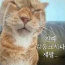 옥미아구찜 이미지