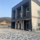쏠레비치