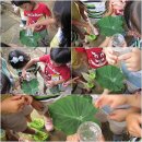 숲소리어린이집 이미지