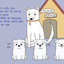 신산리-1 이미지