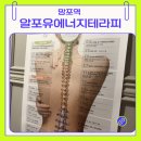 알포유빽스테라피만성점 | 망포역 에스테틱 알포유 에너지 테라피 생체전류 체형관리 후기